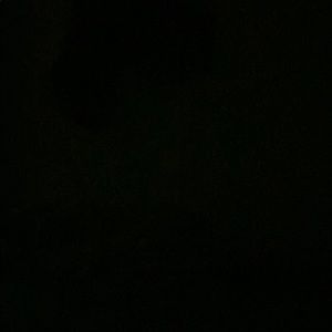 Meet your Posher, Amir